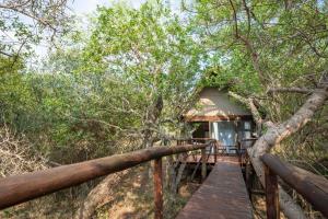 una pasarela de madera que conduce a una cabaña en el bosque en Panzi Lodge, en Guernsey Nature Reserve