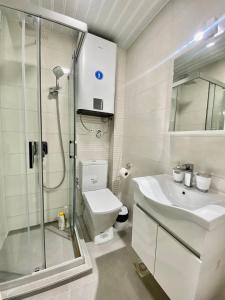 a bathroom with a shower and a toilet and a sink at He-Ra Apartments City Centre in Skopje