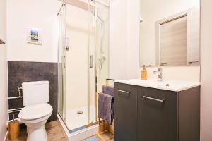 a bathroom with a toilet and a shower at Studio Cosy in Pontarlier
