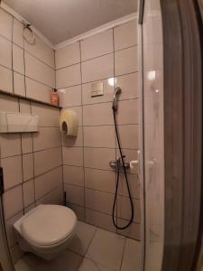 uma casa de banho com um chuveiro e um WC. em Apartments Emily em Sarajevo