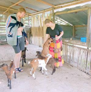 Deux femmes se tiennent avec des chèvres dans une grange dans l'établissement YaoIsland Resort and Farm, à Ko Yao Yai
