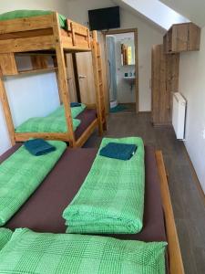 a room with two bunk beds and a tv at Chata Mamutka-New in Loučná pod Klínovcem