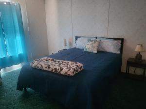 een slaapkamer met een bed met blauwe lakens en kussens bij A rest after a day in the Death Valley desert in Scranton
