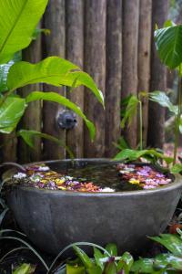 a large stone bowl of water with a bird in it at Cabana Gato do Mato in São Francisco de Paula