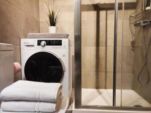 a washing machine in a bathroom next to a shower at AC Apartaments Tarter Chalet in El Tarter