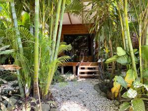 a porch of a house with palm trees at Santeria Lodge in Santa Teresa Beach