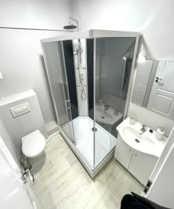 ブカレストにあるBaneasa Luxury Apartamentsのシャワー、トイレ、洗面台を備えたバスルーム