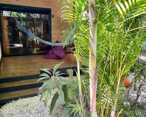 eine Hängematte in einem Zimmer mit einigen Pflanzen in der Unterkunft Santeria Lodge in Playa Santa Teresa