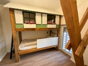 una litera en una habitación con ventana en Ferienwohnung „seit 1911“ - Hof Mühlenkoppel, en Hasselberg