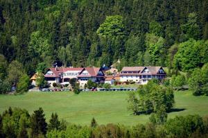 Hotel Podlesí في Podlesí: منزل كبير في وسط حقل أخضر