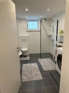 ein Badezimmer mit einem WC und einer Waschmaschine in der Unterkunft Ferienwohnung zur Sternblume in Bruchweiler-Bärenbach