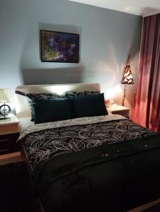 a bedroom with a bed with a black and white comforter at APARTMAN PARK in Šabac