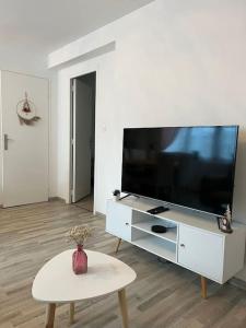 TV a/nebo společenská místnost v ubytování Gîte la perle rose 50 m²