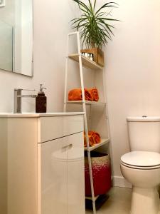 a bathroom with a ladder next to a toilet at Modern City Center Apartment in Torres Vedras