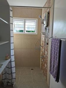 uma casa de banho com um chuveiro, uma janela e um lavatório. em MAGAYON BLUE HOUSE IN THE HEART OF LEGAZPI em Legazpi