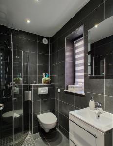 a bathroom with a toilet and a shower and a sink at Słoneczny dom in Piechowice