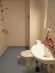 a bathroom with a white toilet and a sink at Warkhaus Apartments Korpela in Varkaus