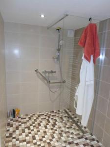 baño con ducha y camisa roja en la pared en Appartement indépendant dans villa accessible PMR, en Saint-Chamond