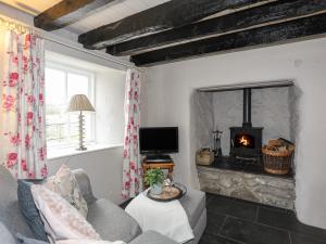 a living room with a couch and a fireplace at Plas Bach in Rhoscolyn