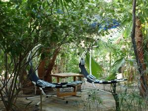 two hammocks and a table in the trees at ערבה גארדן Arava Garden in H̱aẕeva