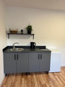 Kuchyň nebo kuchyňský kout v ubytování Apartmán Gabi