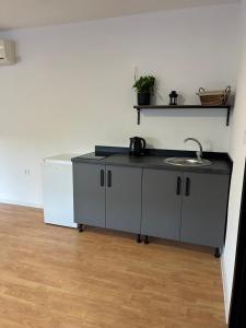 Kuchyň nebo kuchyňský kout v ubytování Apartmán Gabi