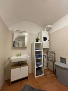 a bathroom with a sink and a toilet at Altstadt Apartment in Steyr