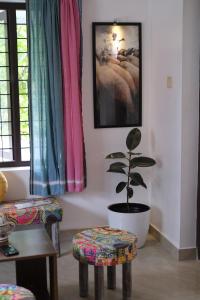 una sala de estar con una maceta y 2 sillas en Yellow Postbox, en Parūr