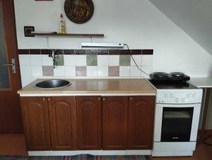 Kuchyň nebo kuchyňský kout v ubytování Apartment Natalia