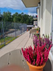 Balkón nebo terasa v ubytování Apartmán u starého pivovaru