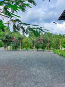 um parque com parque infantil com árvores e redes em North Pine Forest Homestay บ้านไม้สนโฮมสเตย์ em Ban Mae Pong