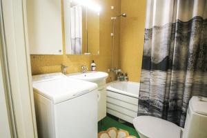 a bathroom with a sink and a toilet and a shower at Arctic Halla's Studio in Rovaniemi