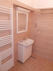a bathroom with a white sink and a mirror at Studio Excelsior 1 in Sibiu