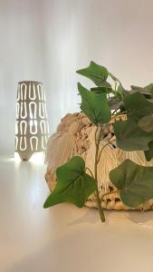 a plant sitting on a table next to a vase at Full Appartement Ville Haute in Kenitra