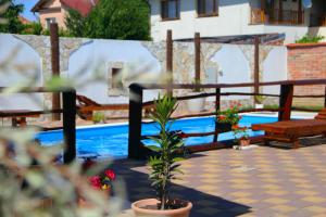 a swimming pool with a bench and a potted plant at Penzion Dori in Diakovce