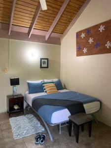 1 dormitorio con 1 cama con almohadas azules y amarillas en Beach Townhouse, near hip strip, beach, airport, en Montego Bay