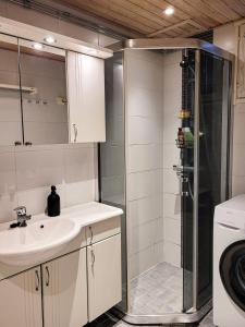 Nordic lodge في روفانييمي: حمام مع حوض ودش