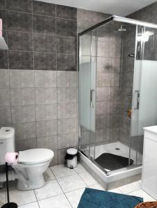 La salle de bains est pourvue d'une douche et de toilettes. dans l'établissement La Provence vous Attend - 2ème étage, à Digne-Les-Bains