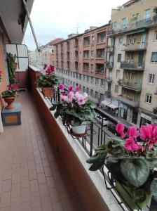 un balcone con piante in vaso e fiori di La Casa di Leo - Milano Bovisa a Milano