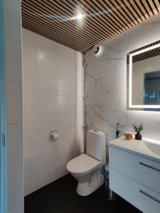 a bathroom with a toilet and a sink and a mirror at Unique villa by the lake in Lahti