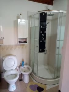 a bathroom with a shower and a toilet and a sink at Cálido Departamento Céntrico San Martín de los andes in San Martín de los Andes