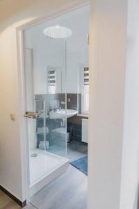 uma casa de banho com uma cabina de duche em vidro e um lavatório. em Fewo Jule em Sondershausen