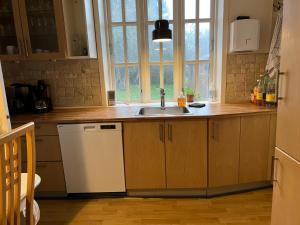 une cuisine avec un évier et une fenêtre dans l'établissement NordsoeHousing-Rørby, à Kalundborg 26 autres photos