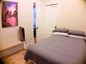 1 dormitorio con 1 cama grande y TV en The Roscoe Village Guesthouse, en Chicago