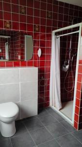 Bathroom sa Appartement les mirabelles entre Strasbourg et Haguenau
