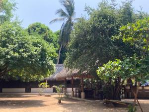 a building with a straw roof with trees in front at Mondala Hostal Carrizalillo in Puerto Escondido