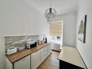 a kitchen with white cabinets and a counter at Studio Excelsior 1 in Sibiu
