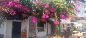 a tree with pink flowers in front of a house at Happy Accomation Houses 192mt toHarbour in Marmaris