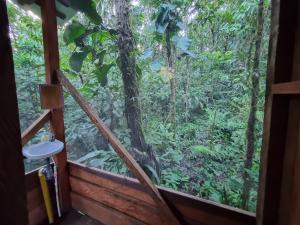 a window view of the rainforest from a tree house at Cabaña Leucopternis - in the middle of Amazon forest in Orito