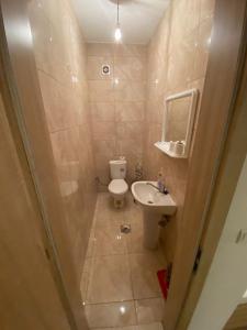 a small bathroom with a toilet and a sink at Violin 2 bedroom Apartment downtown Prizren in Prizren +7 photos